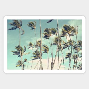 Hawaii Palm Trees In The Wind Sticker